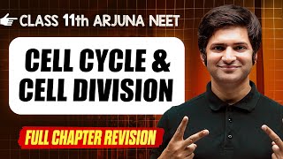 Cell Cycle amp Division  COMPLETE Chapter in 1 Video  Quick Revision  Class 11th Arjuna NEET [upl. by Llenoil]