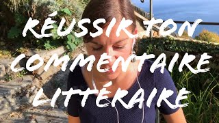 COMMENT FAIRE UN COMMENTAIRE LITTERAIRE [upl. by Brigida973]