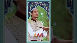 Bula Lo Phir Mujhe Aye Shah E Behrobar Madine mein  Waqas Chishti  Official Video 2024 [upl. by Esiouqrut]