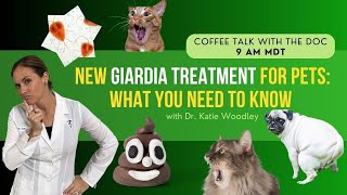 New Treatment for Giardia for Dogs amp Cats with Holistic Vet  Dr Katie Woodley [upl. by Reggis]