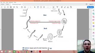 Nematoda  3  Ancylostoma duodenale [upl. by Rustice]