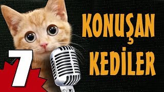 Konuşan Kediler 7  En Komik Kedi Videoları [upl. by Bertold]