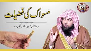 Miswak Karne Ki Fazilat By Qari Sohaib Ahmed Meer Muhammadi 2020 [upl. by Ennayoj]