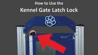 Gator Kennels Gate Latch Lock Tutorial [upl. by Nnahs]