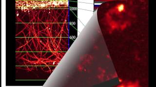 Deep Vascular Imaging in Wounds by TwoPhoton Fluorescence Microscopy [upl. by Ahseik550]