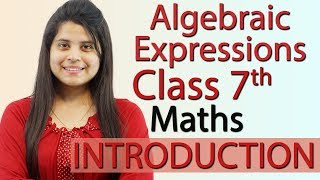 Algebraic Expressions  Chapter 10  Introduction  NCERT Class 7th Maths Solutions [upl. by Nadabas]