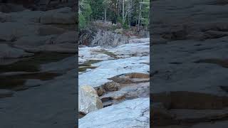 Rocks river trees whitemountains [upl. by Keese]