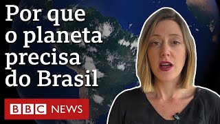 3 fatores que tornam Brasil crucial para evitar catástrofe climática mundial [upl. by Nirot]