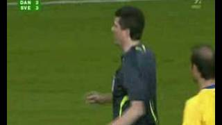 denmark sweden incident 2007 football qualification match [upl. by Wise]