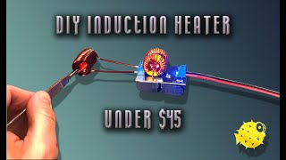 The Best DIY Induction Heating Sterilizer Tutorial for Beginners [upl. by Julissa803]