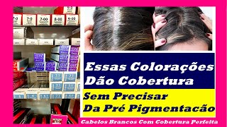 Qual A Melhor Tinta Para Cabelo Branco Vou Te Mostrar As Melhores [upl. by Osborne303]