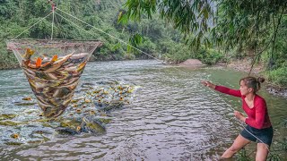 180 Days REWIND TIMELAPSE How to Make Simple Fish Trap The SECRET to FISHING TRAPS and BAIT Tips [upl. by Ecneitap401]