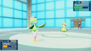 Pokémon Scarlet amp Violet Lilligant quotHisuian Vs Lilligant quotUnova  Stellars [upl. by Ecienal]