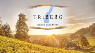 Triberg  absolute Black Forest [upl. by Bensky]