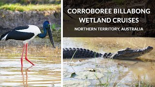 Corroboree Billabong Wetland Cruises  Mary River NT Australia [upl. by Drape]