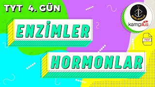 4 Enzimler ve Hormonlar Konu Anlatımı  9 Sınıf Biyoloji  YKS 2023  TYT Biyoloji Kampı 4 Gün [upl. by Drarehs]