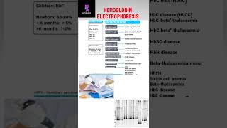 Interpretation of Hb Electrophoresis…neet neetpg mbbs usmle [upl. by Paschasia254]