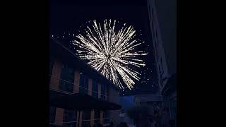 Festa Major dAndorra la Vella Castell de focs by SEO SEM amp WORDPRESS33786568901 [upl. by Huckaby525]