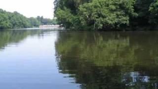 Bay Malton Angling Club Waters [upl. by Annazus]