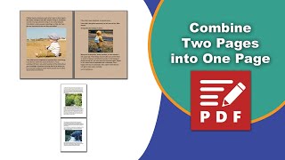 How to combine 2 pdf pages into 1 page in PDFXChange Editor [upl. by Kramnhoj]