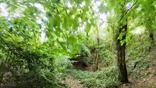 Clyne woods ‘Millers’ MTB trail in 360 Please check description for settings info [upl. by Cointon24]