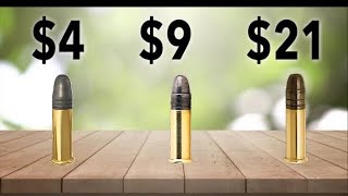 Budget vs Expensive 22 Ammo  RimX [upl. by Nwahsit226]