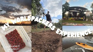 I Volunteered In The Australian Outback  My RAW and HONEST Worldpackers Review 🪨🚜🌏 [upl. by Cirek]