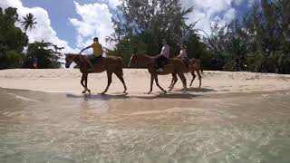 Mango Bay Hotel Holetown Barbados June 2018 [upl. by Armalda]