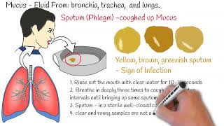 Sputum Test Phlegm Analysis Sputum Culture Sputum test Sputum Analysis [upl. by Ernaline]