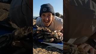 ABALONE  Catch n Cook 🤤🐟 fishing seafood cooking abalone paua [upl. by Nevram715]