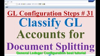 GL Configuration Steps 31 Classify GL Accounts for Document Splitting [upl. by Fai]