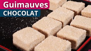 Recette Guimauve au chocolat  COURS COMPLET [upl. by Aniaj]