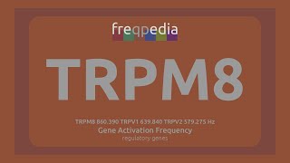 TRPM8 amp TRPV1 seasonal change Gene Activation Frequency [upl. by Ixela]