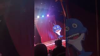 show do baby shark [upl. by Adnolohs]