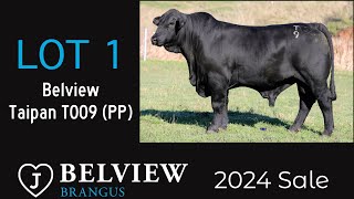 Lot 1 Belview Taipan T009 PP ET [upl. by Lrae]