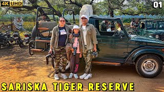 Sariska Tiger Reserve Stay in Vanbagh Eco Luxury Resort [upl. by Neural]