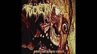 Subconsciously Cruel  Fuckectomy 2024 Slamming Brutal Death Metal  Goregrind [upl. by Mitchael]