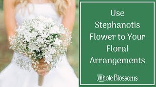 Use Stephanotis Flower to Your Floral Arrangements [upl. by Abehsile]