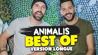 ANIMALIS LE BEST OF [upl. by Slein]