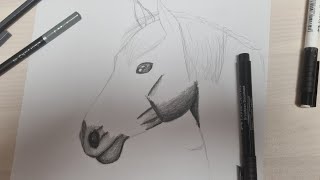 Wir zeichnen ein Pferd👀🐴 Alle wichtigen Schritte erklärt [upl. by Jessi]