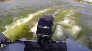 ELCO Electric Outboard Propulsion Florida [upl. by Anne-Marie]