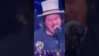 Heartfelt Zucchero Fornaciaris Touching Performance [upl. by Curkell]