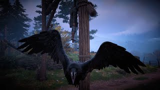 How to Get Raven Feathers Raven Location Assassins Creed Valhalla [upl. by Ruenhcs]