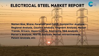 Electrical Steel Market Report 2024 [upl. by Carolyn]