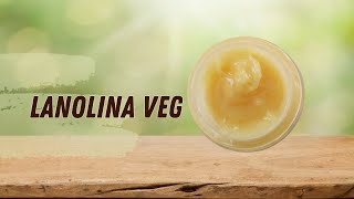 Como Fazer Lanolina Vegetal Caseira [upl. by Afrikah703]