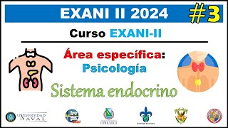 Curso EXANI II 2024 Psicología Sistema Endócrino Glándulas y Hormonas 3 [upl. by Engleman]