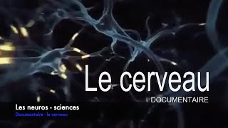 REPOPRTAGE  Les neurosciences le cerveau [upl. by Richmound161]