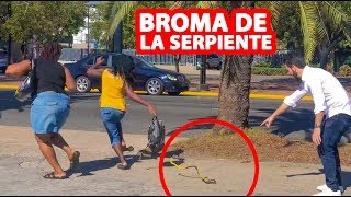 Las Mejores BROMAS De La SERPIENTE l Humor l Videos De Risa [upl. by Arada131]