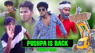 PUSHPA IS BACK  The Comedy Kingdom [upl. by Kancler]