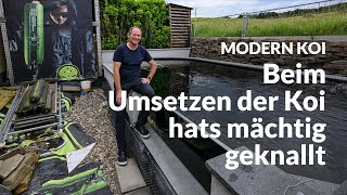 Matthias’ 35000 Liter Teich mit Panoramascheibe  Modern Koi Blog 6881 [upl. by Apul]